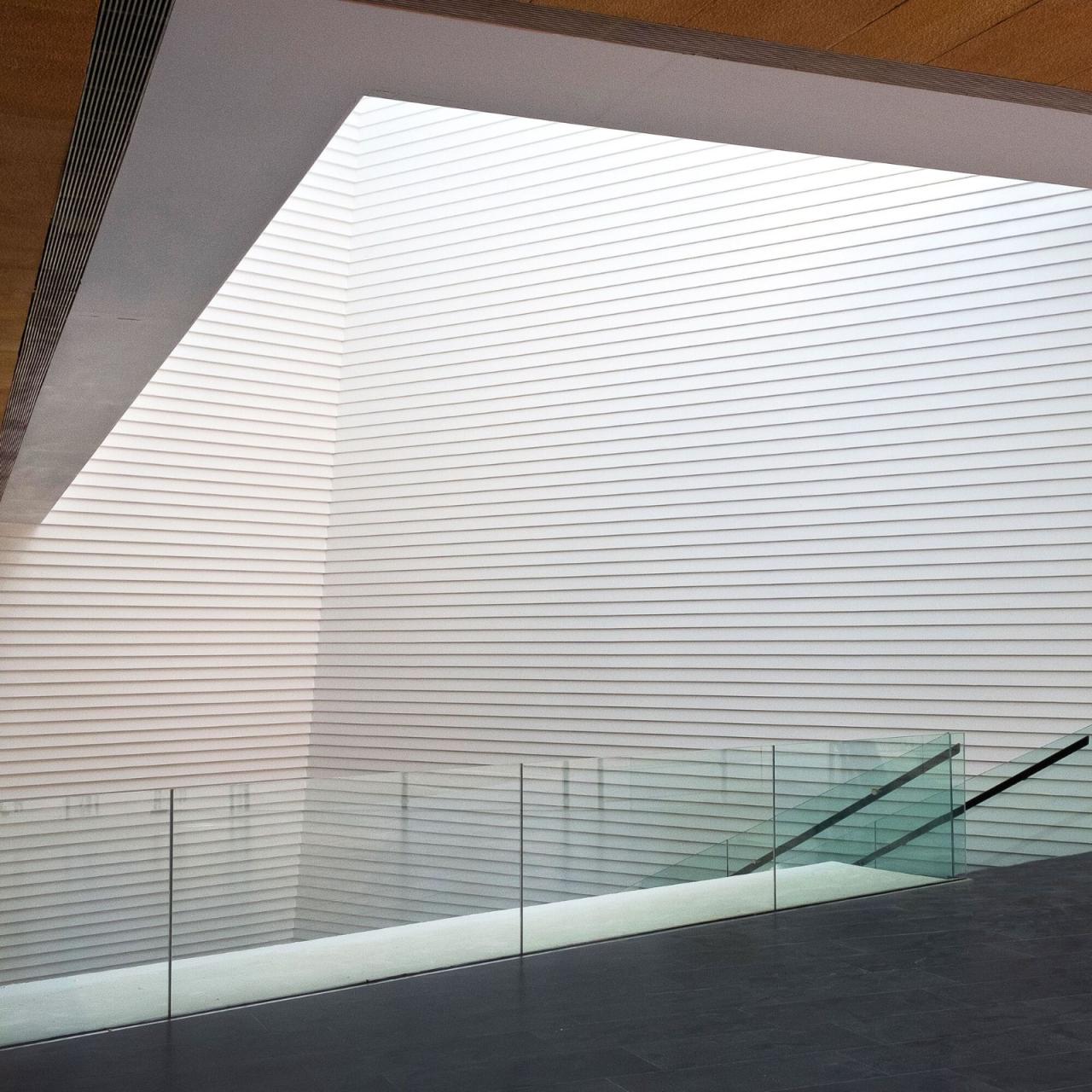 BIM建筑|迪里耶未来艺术中心 / Schiattarella Associati