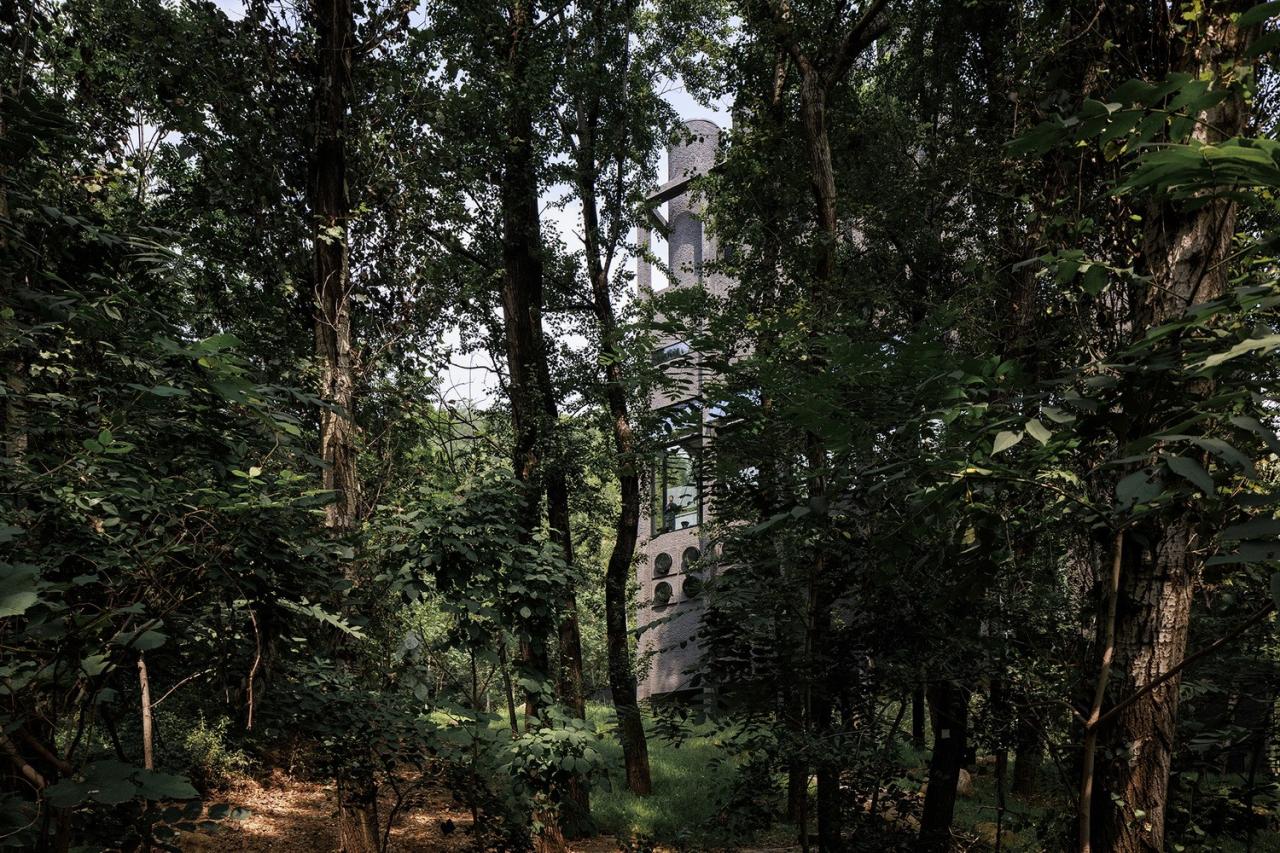 BIM建筑|雾灵山眼石汤泉，林中仪器 / 直向建筑