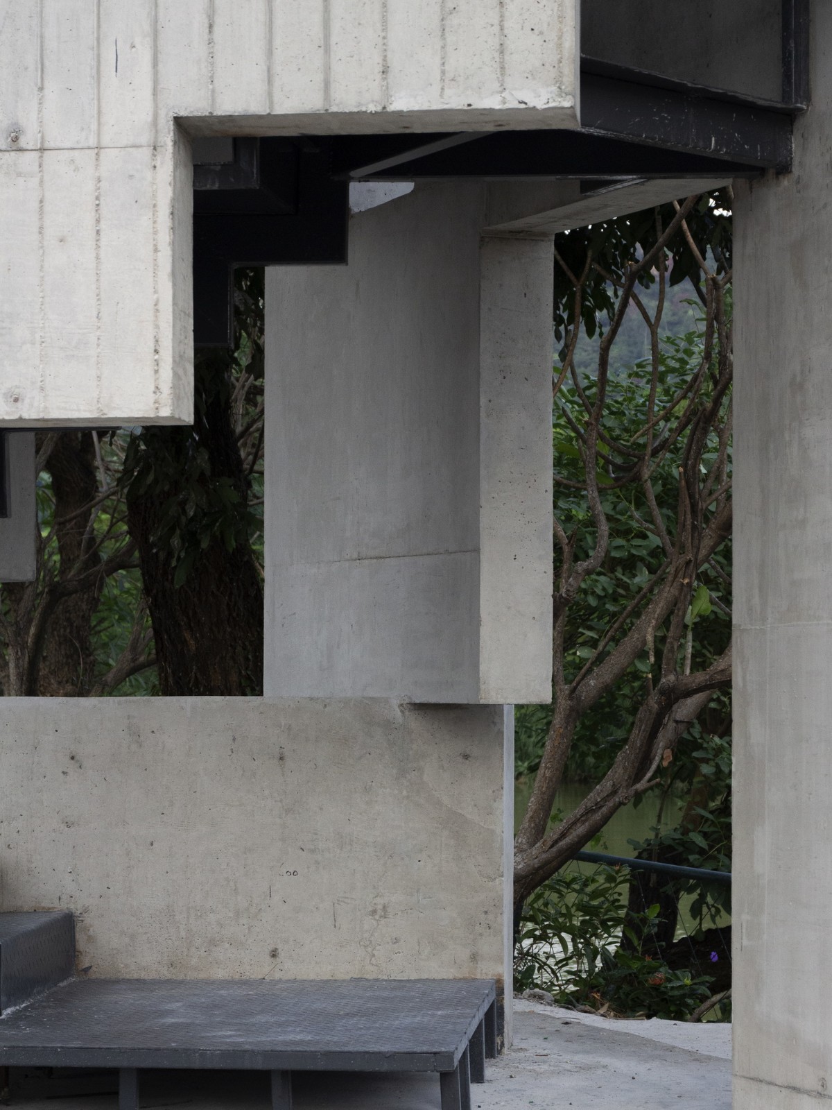 BIM建筑|繁茂的遗迹，垂直自然塔 / 合造社