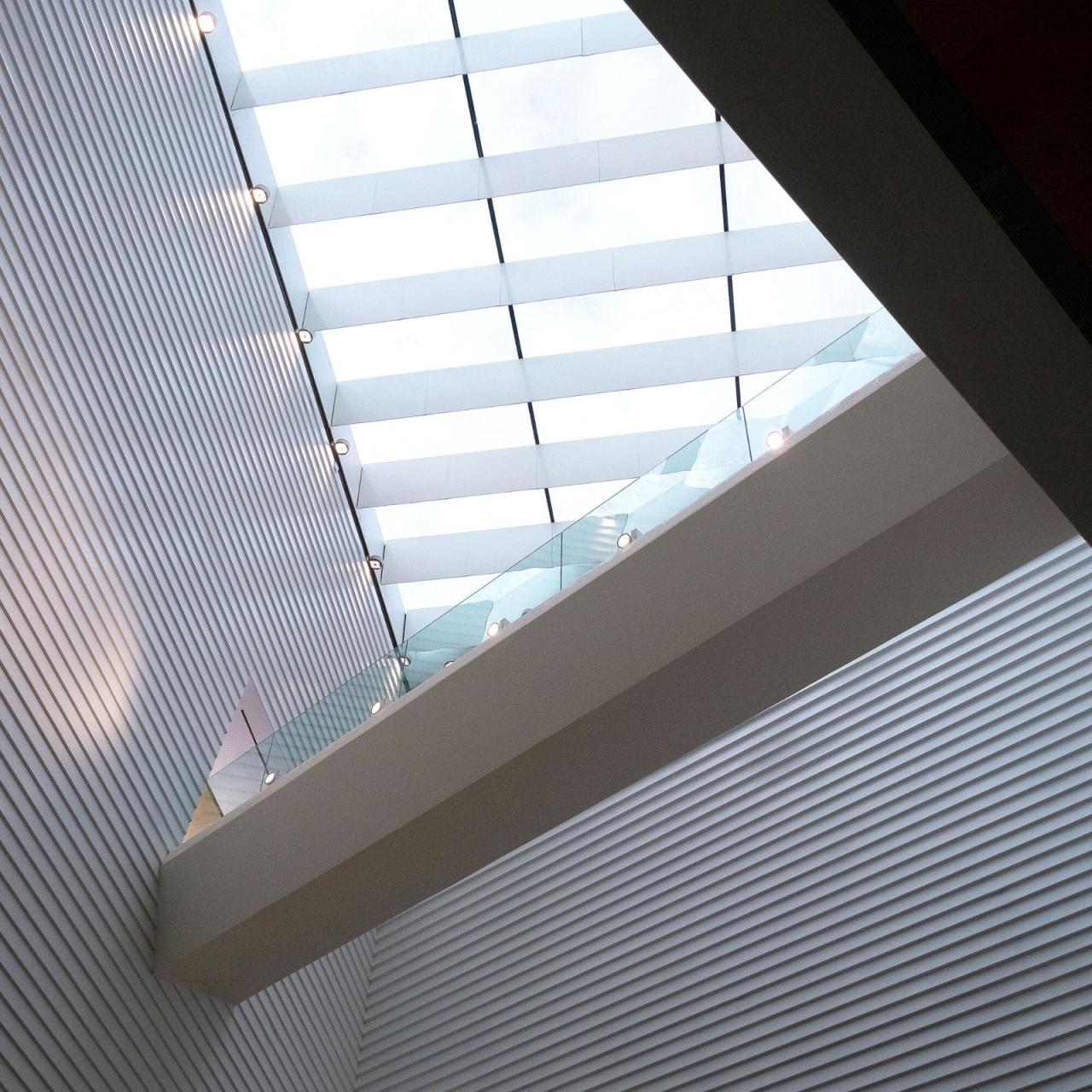 BIM建筑|迪里耶未来艺术中心 / Schiattarella Associati