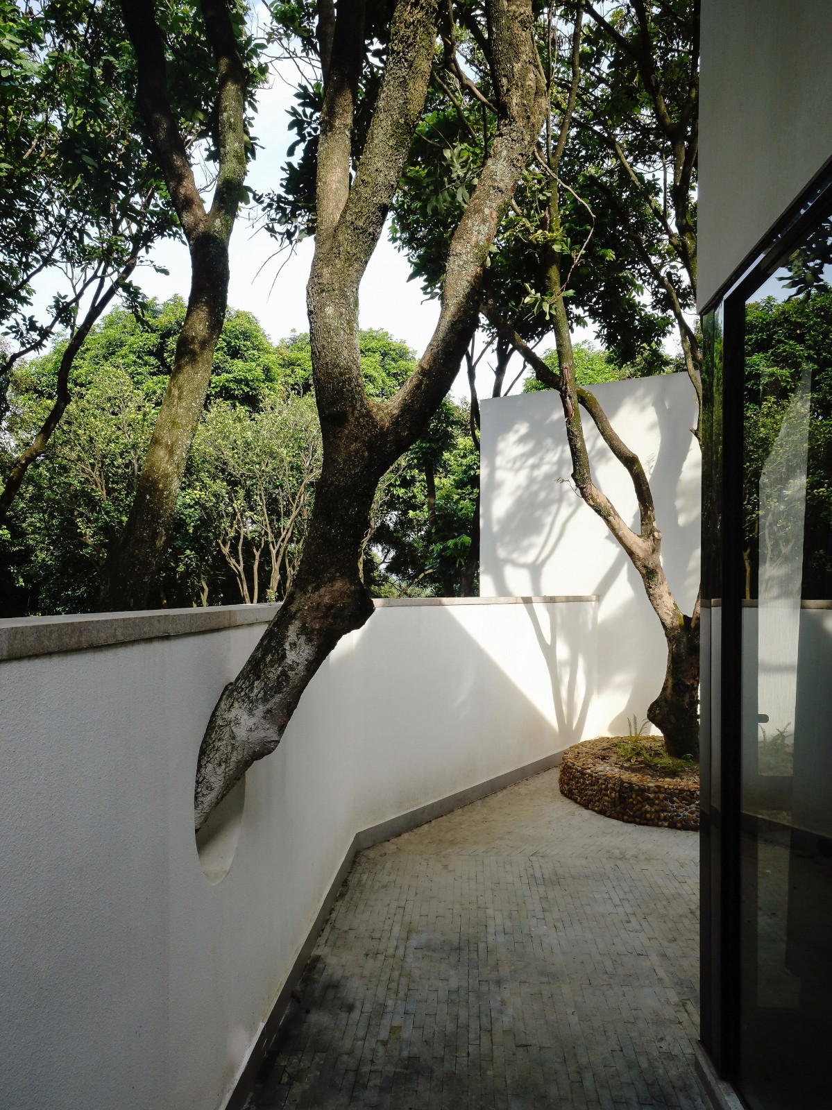 BIM建筑|龙眼树下的院子 / 在场建筑