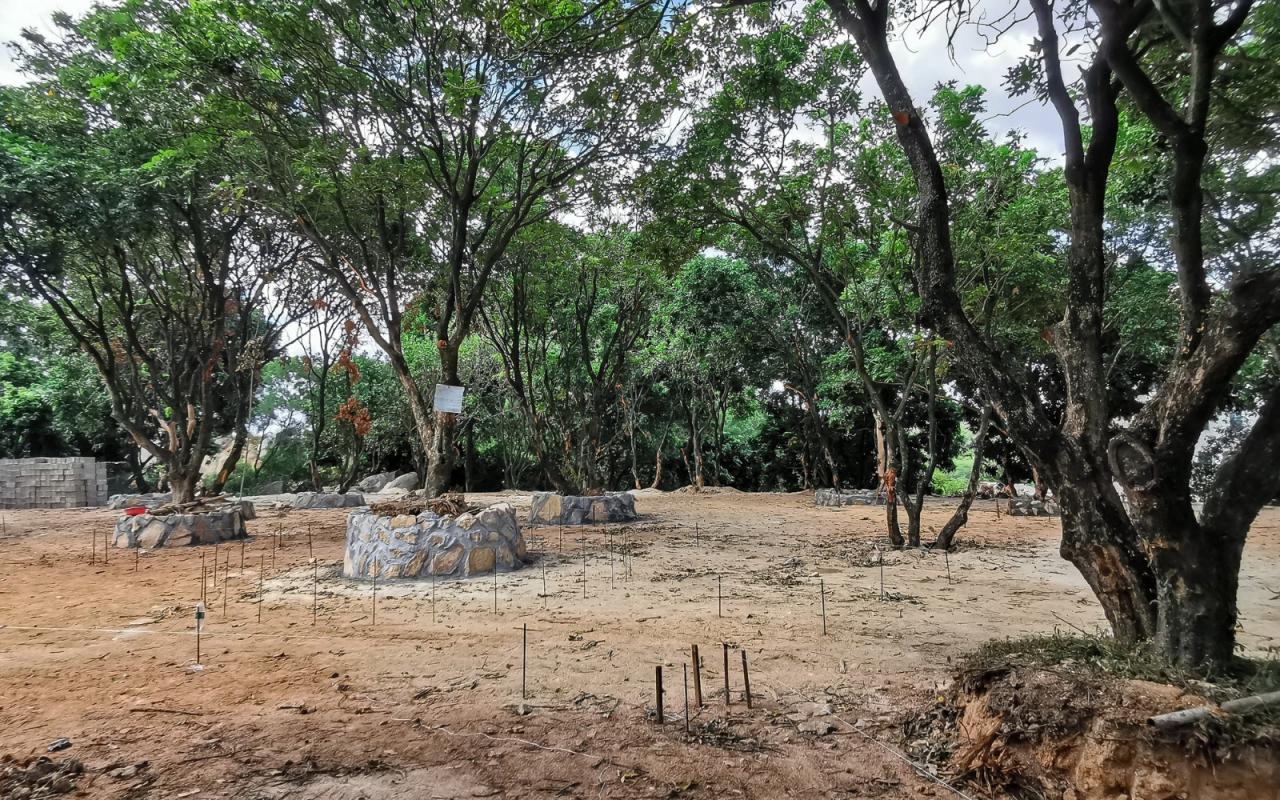 BIM建筑|龙眼树下的院子 / 在场建筑