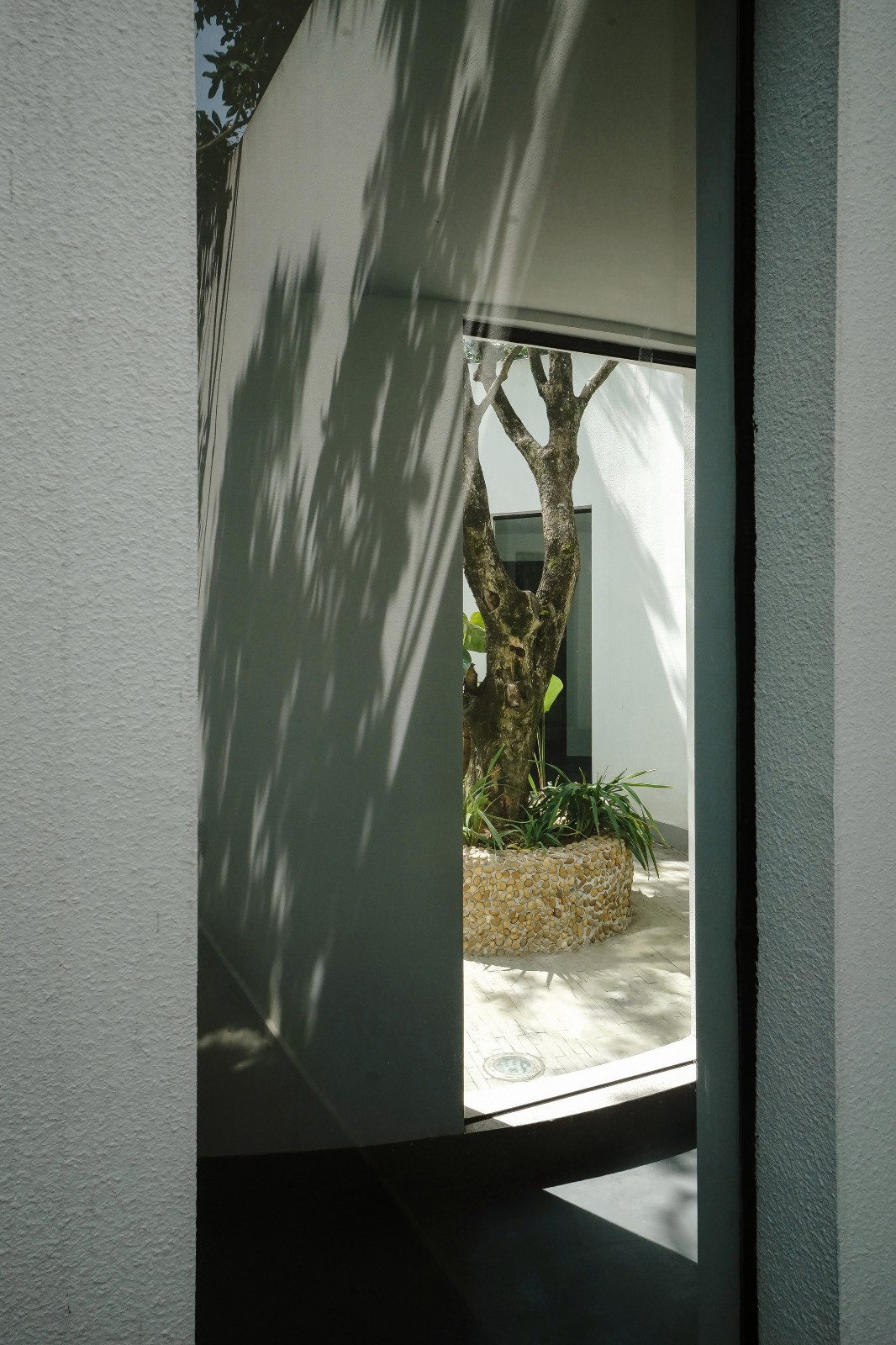 BIM建筑|龙眼树下的院子 / 在场建筑