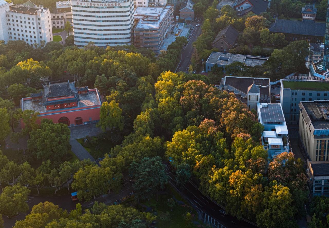 BIM建筑|南京鼓楼锦上 OCC 餐厅 / BUZZ 建筑事务所