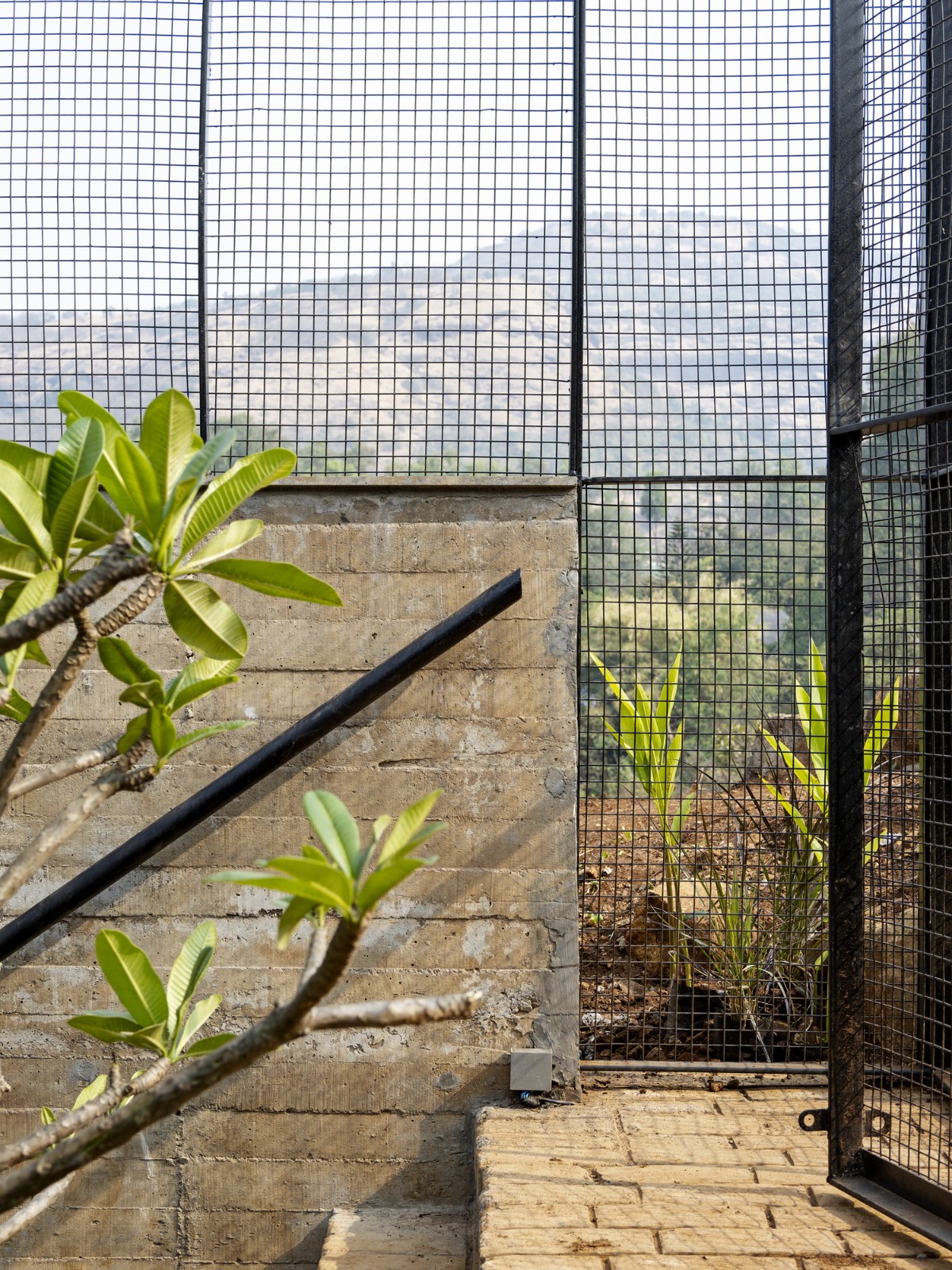 BIM建筑|斜屋 / Red Brick Studio