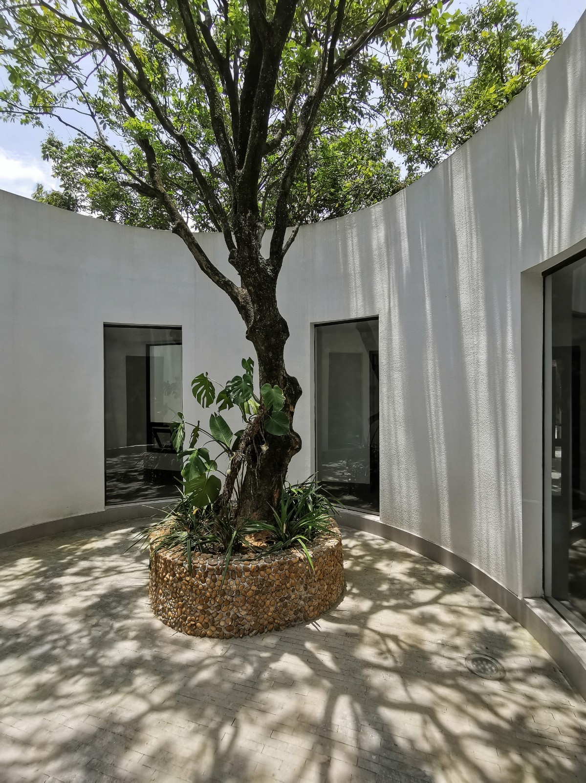 BIM建筑|龙眼树下的院子 / 在场建筑