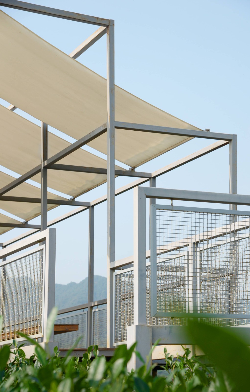 BIM建筑|长埭村艺术乡建系列-茶山浮亭 / 由牧建筑