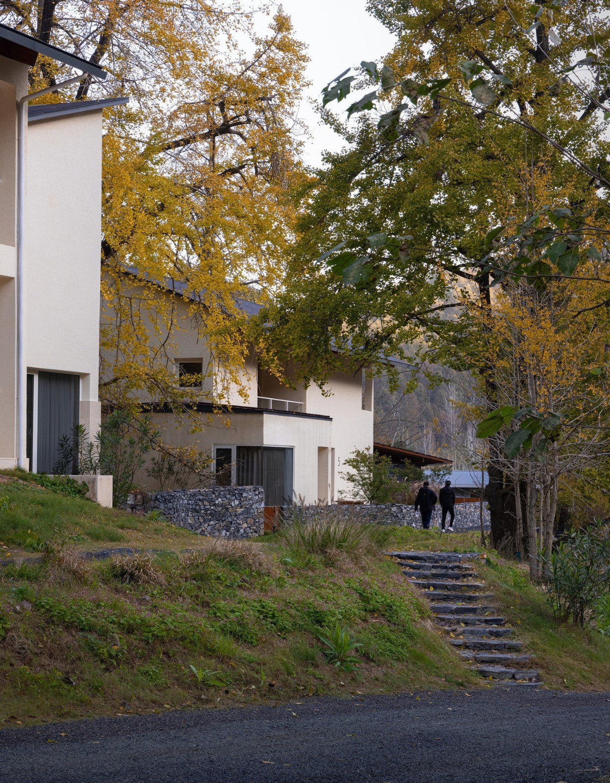 BIM建筑|大乐之野·银杏谷 / 末广建筑