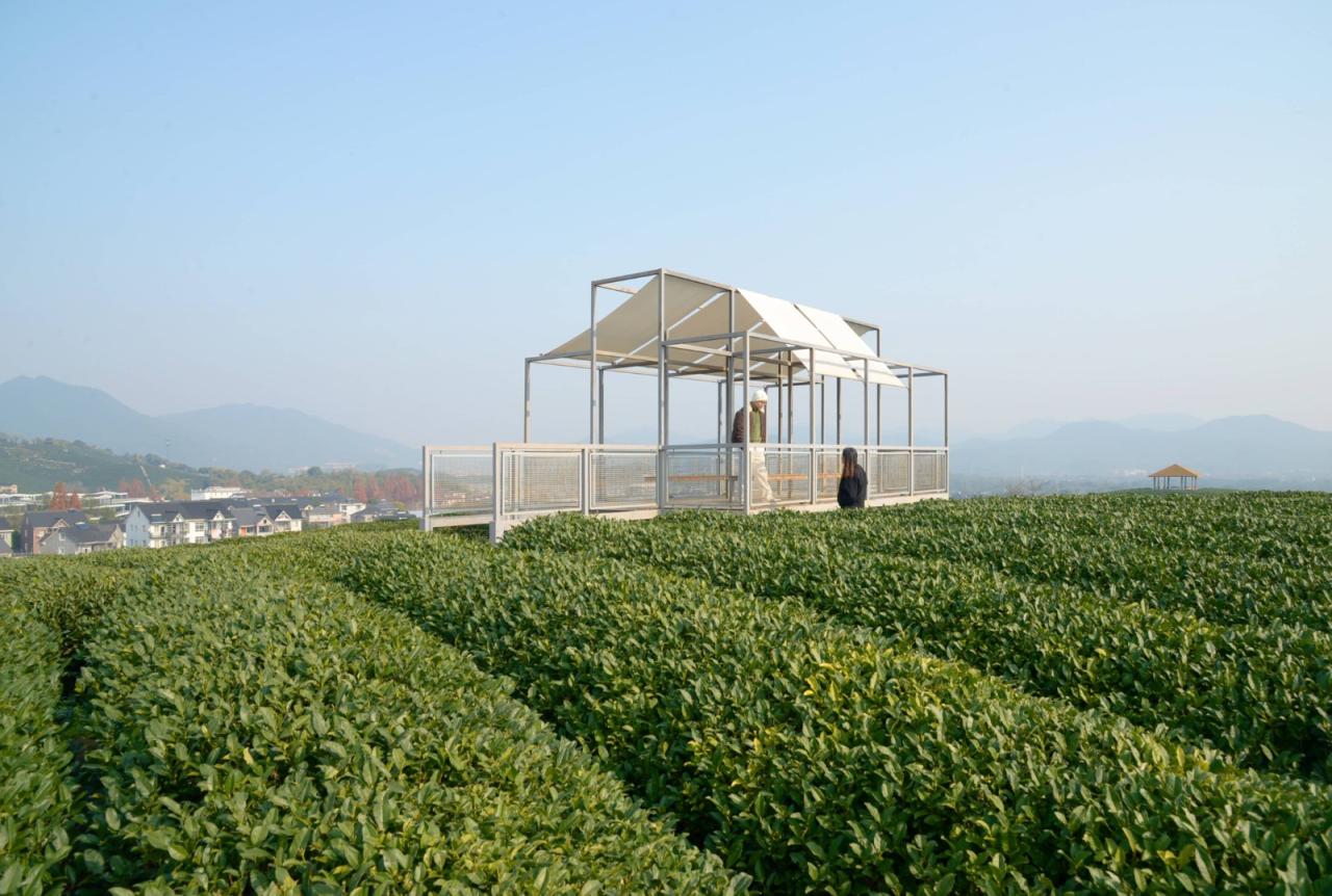 BIM建筑|长埭村艺术乡建系列-茶山浮亭 / 由牧建筑