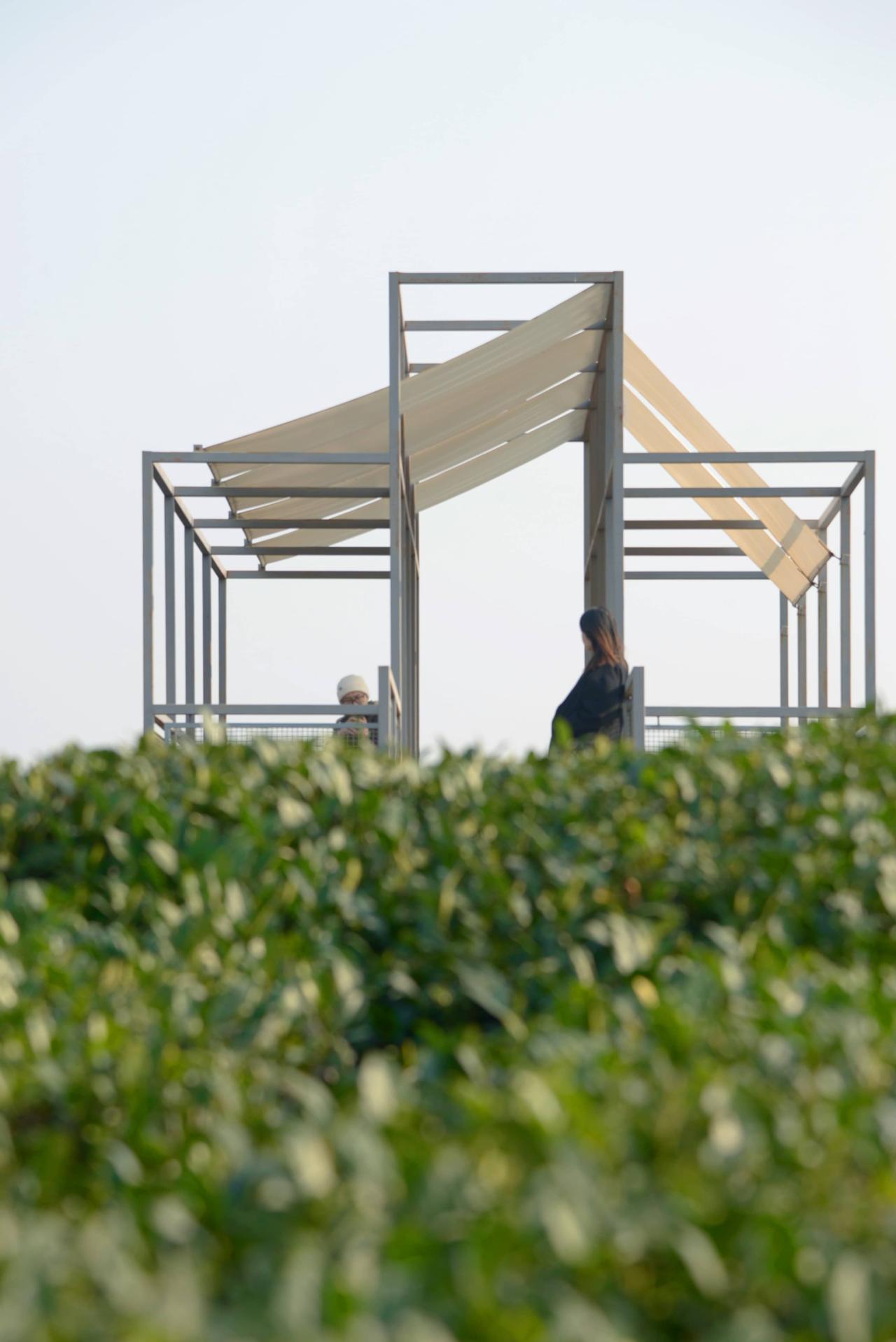 BIM建筑|长埭村艺术乡建系列-茶山浮亭 / 由牧建筑