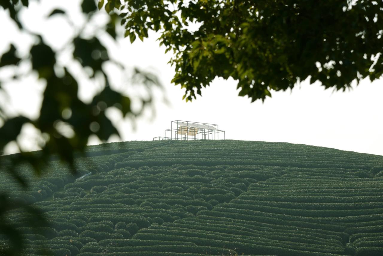 BIM建筑|长埭村艺术乡建系列-茶山浮亭 / 由牧建筑