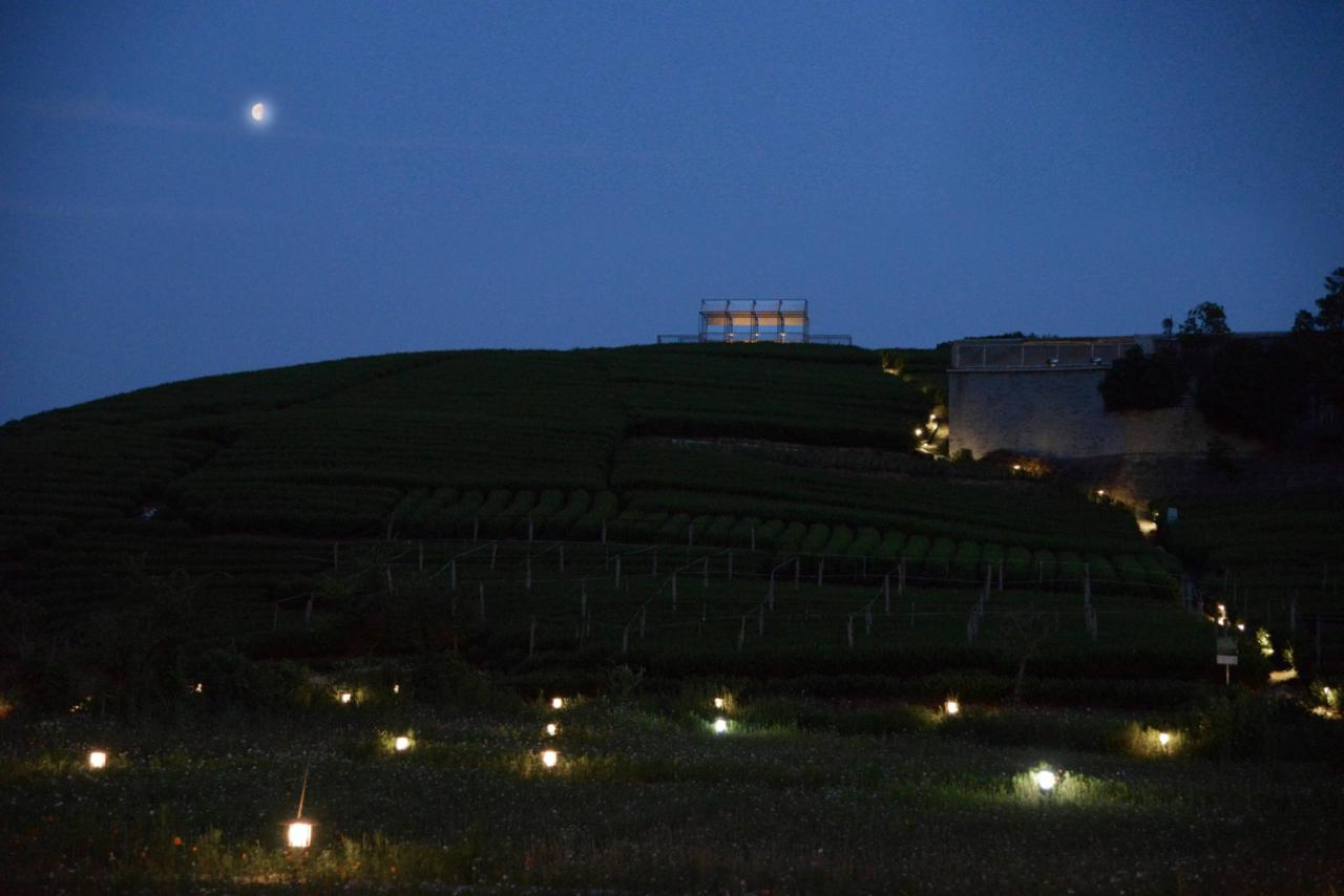 BIM建筑|长埭村艺术乡建系列-茶山浮亭 / 由牧建筑