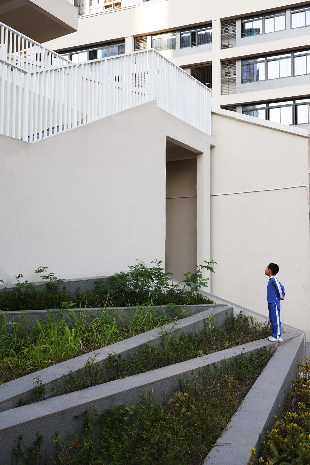 BIM建筑|深圳市龙华区清泉外国语学校初中部 / 一境建筑设计