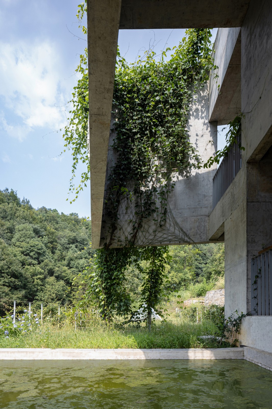 BIM建筑|石羊山壹号住宅 / 小写建筑事务所