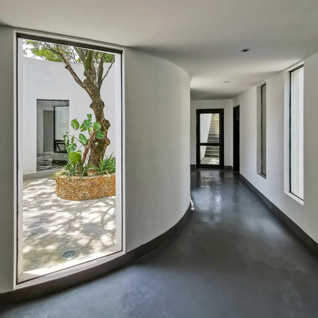 BIM建筑|龙眼树下的院子 / 在场建筑