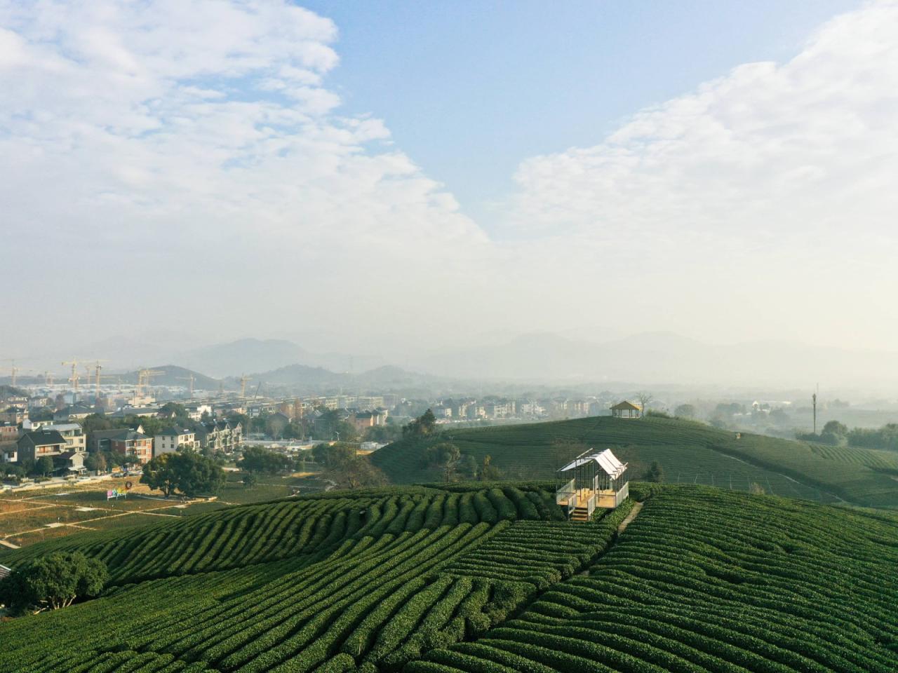 BIM建筑|长埭村艺术乡建系列-茶山浮亭 / 由牧建筑
