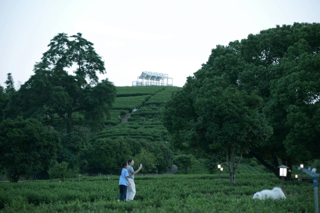BIM建筑|长埭村艺术乡建系列-茶山浮亭 / 由牧建筑