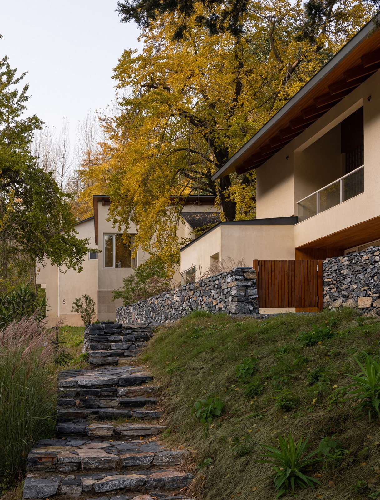 BIM建筑|大乐之野·银杏谷 / 末广建筑