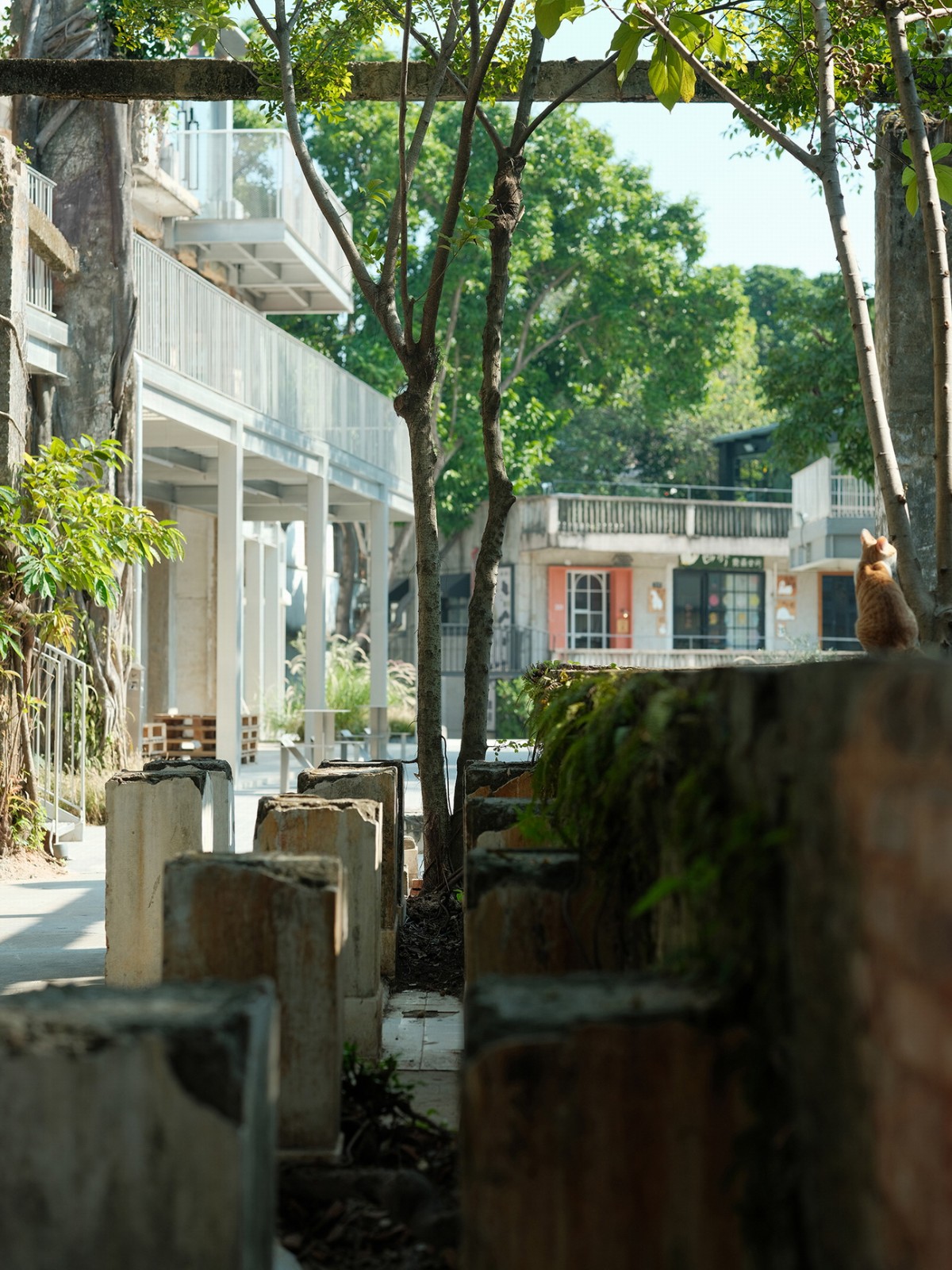 BIM建筑|森野长廊 / BDSD吾界设计