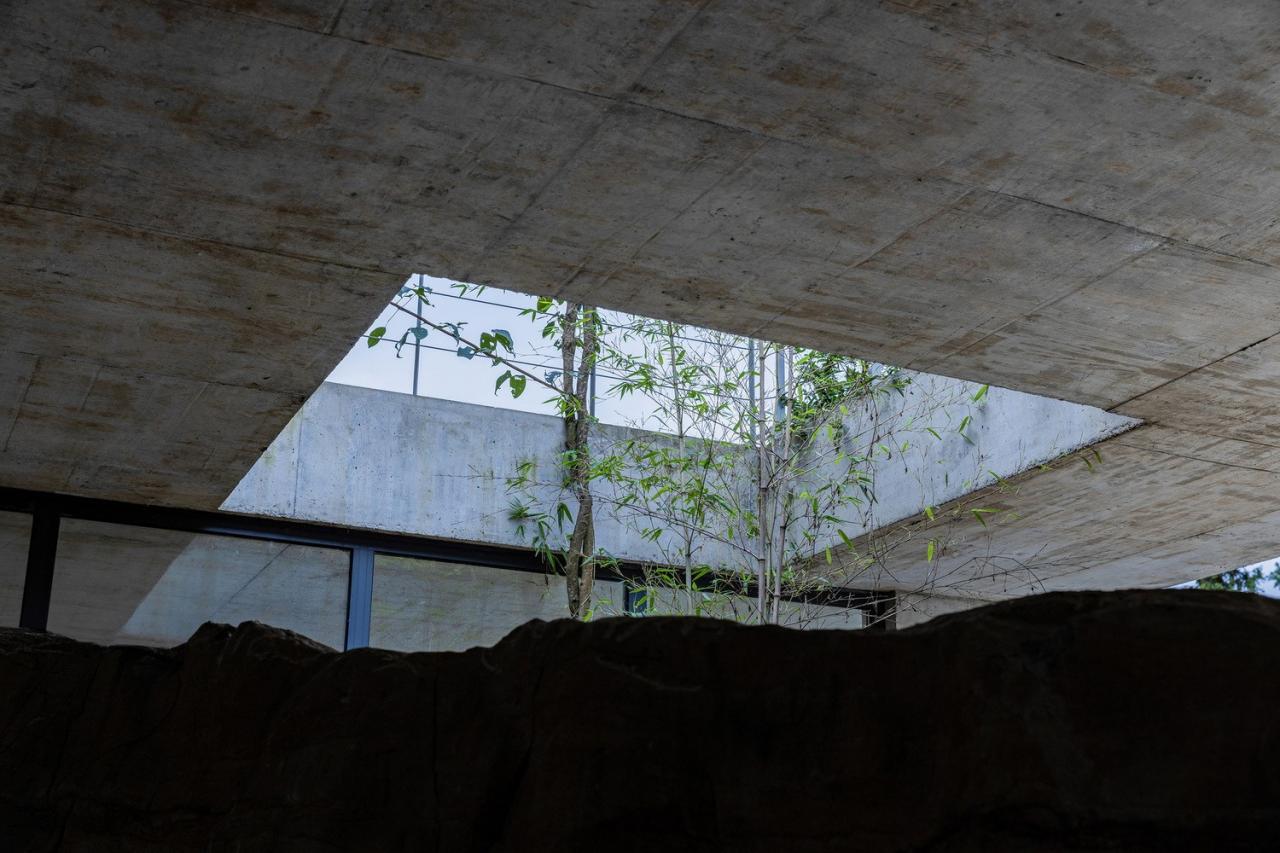 BIM建筑|石羊山壹号住宅 / 小写建筑事务所