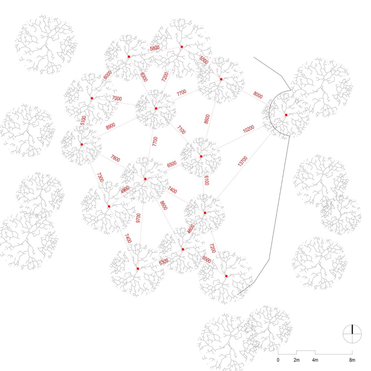 BIM建筑|龙眼树下的院子 / 在场建筑