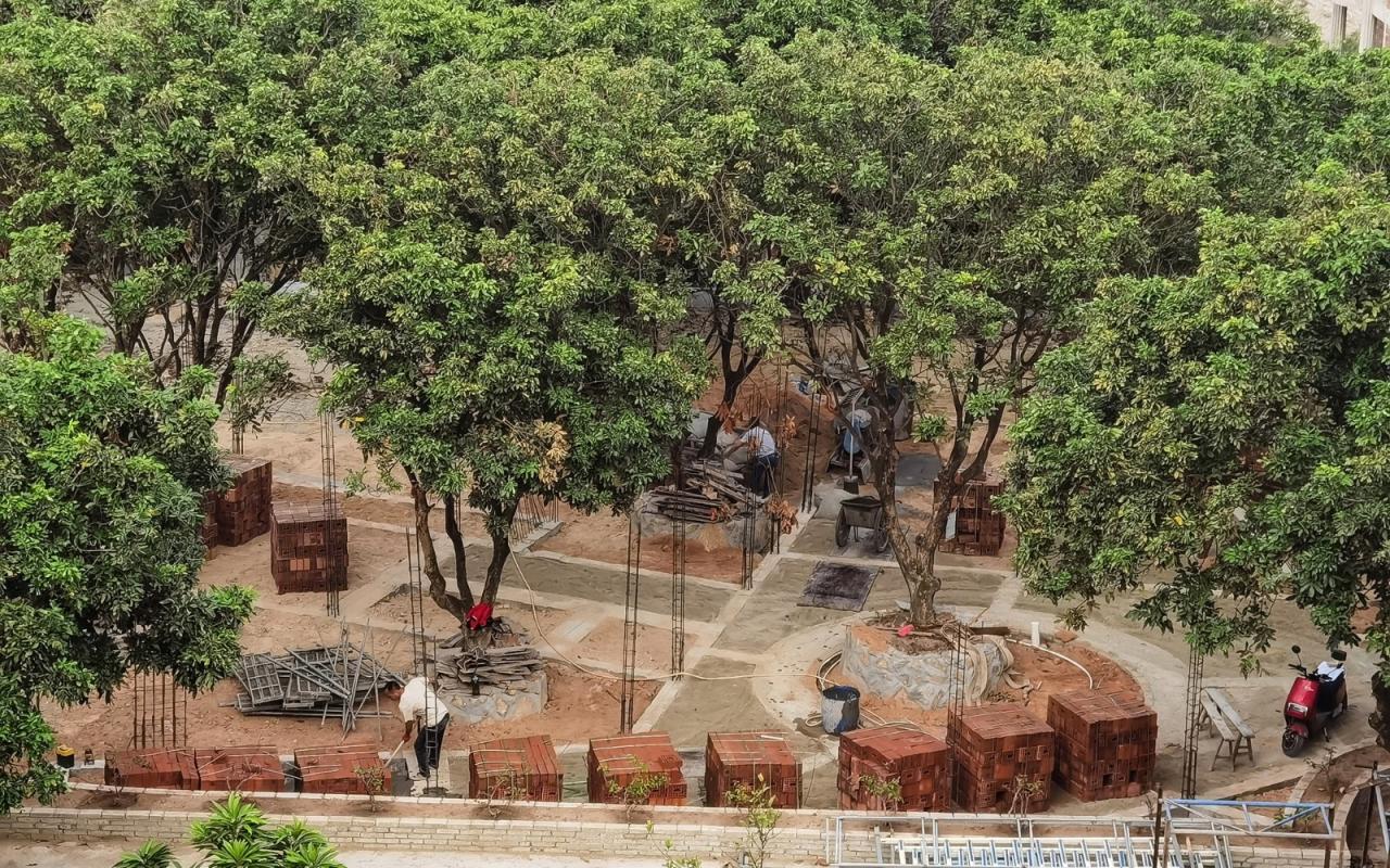 BIM建筑|龙眼树下的院子 / 在场建筑