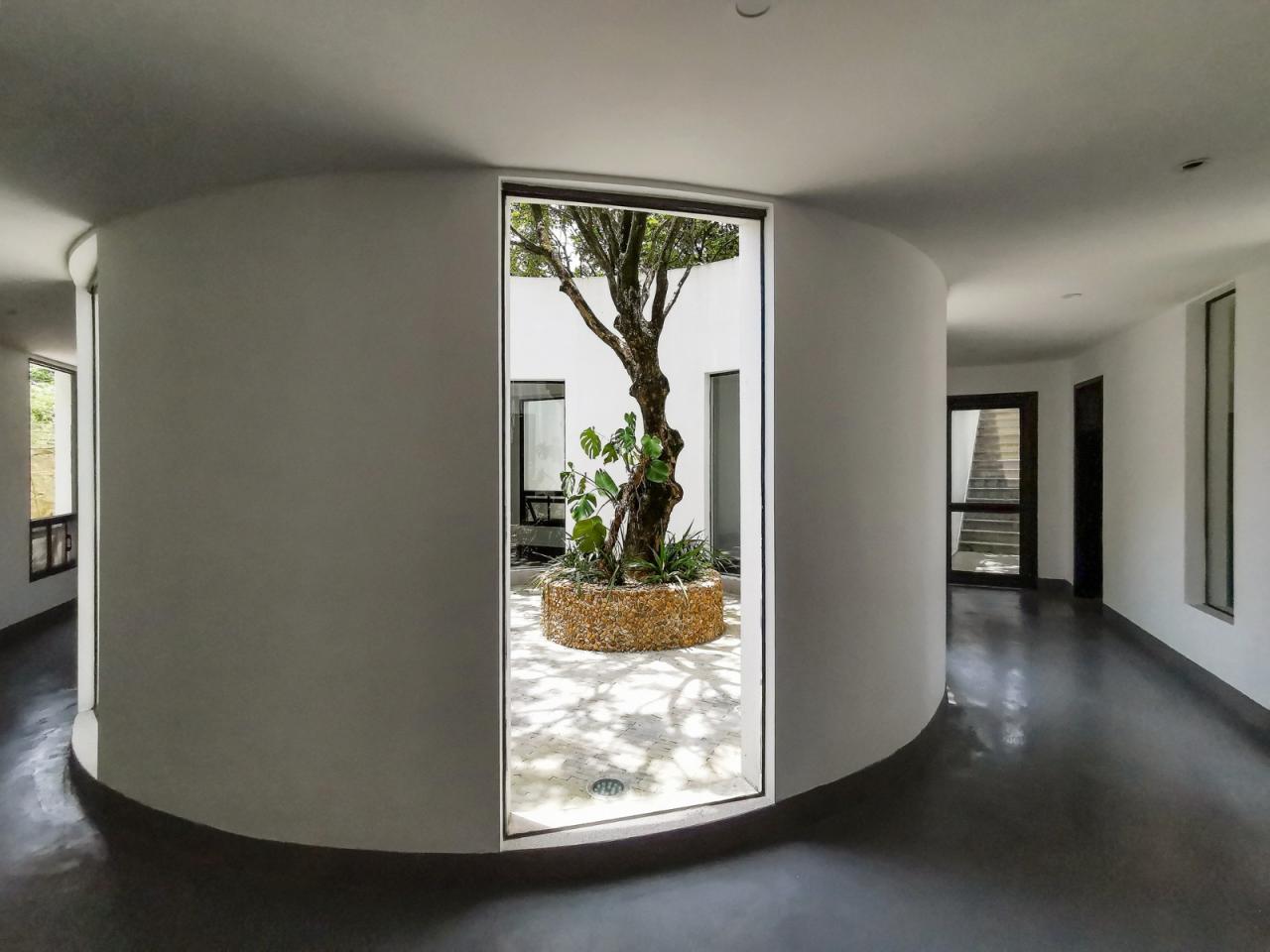 BIM建筑|龙眼树下的院子 / 在场建筑