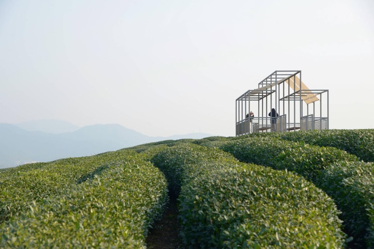 BIM建筑|长埭村艺术乡建系列-茶山浮亭 / 由牧建筑