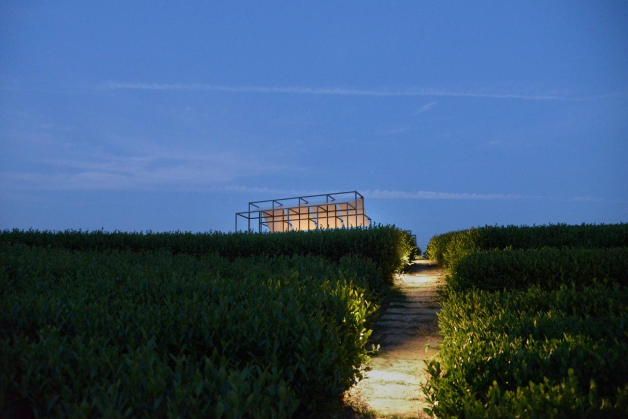 BIM建筑|长埭村艺术乡建系列-茶山浮亭 / 由牧建筑