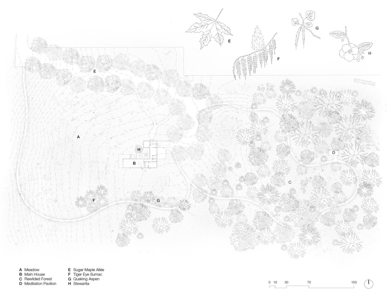 漂浮在草地上的冥想之屋禅意静修的度假屋设计