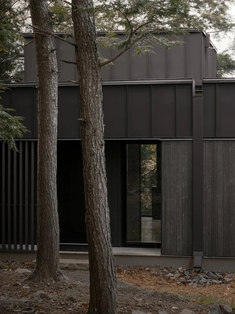 在树梢间谱建筑与自然的和谐乐章亲生物细节度假屋设计