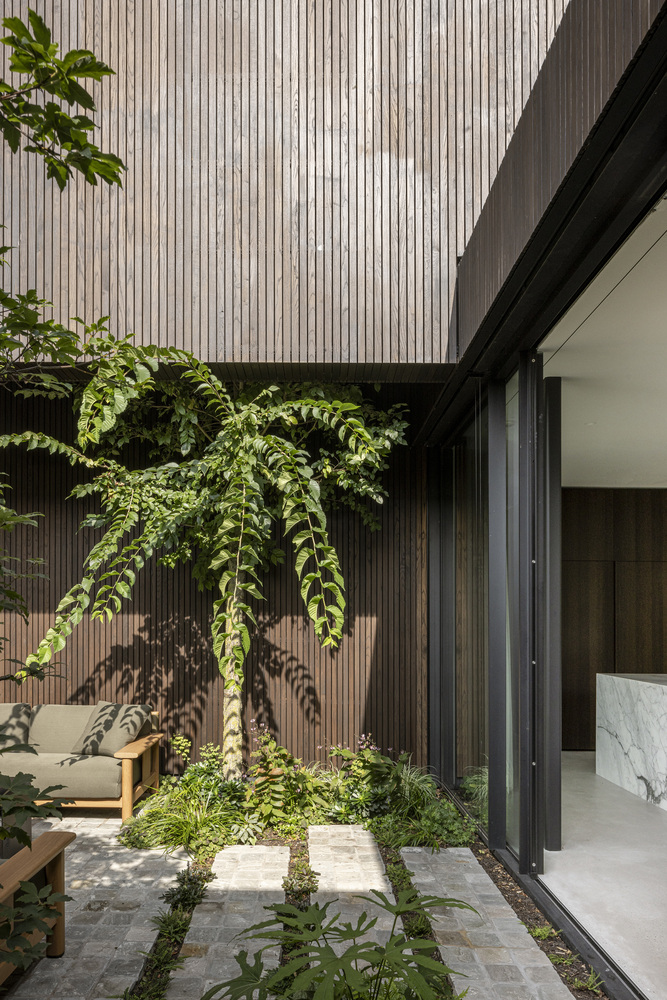 邂逅荷兰海岸隐匿别墅：一场自然、建筑与艺术的盛宴设计