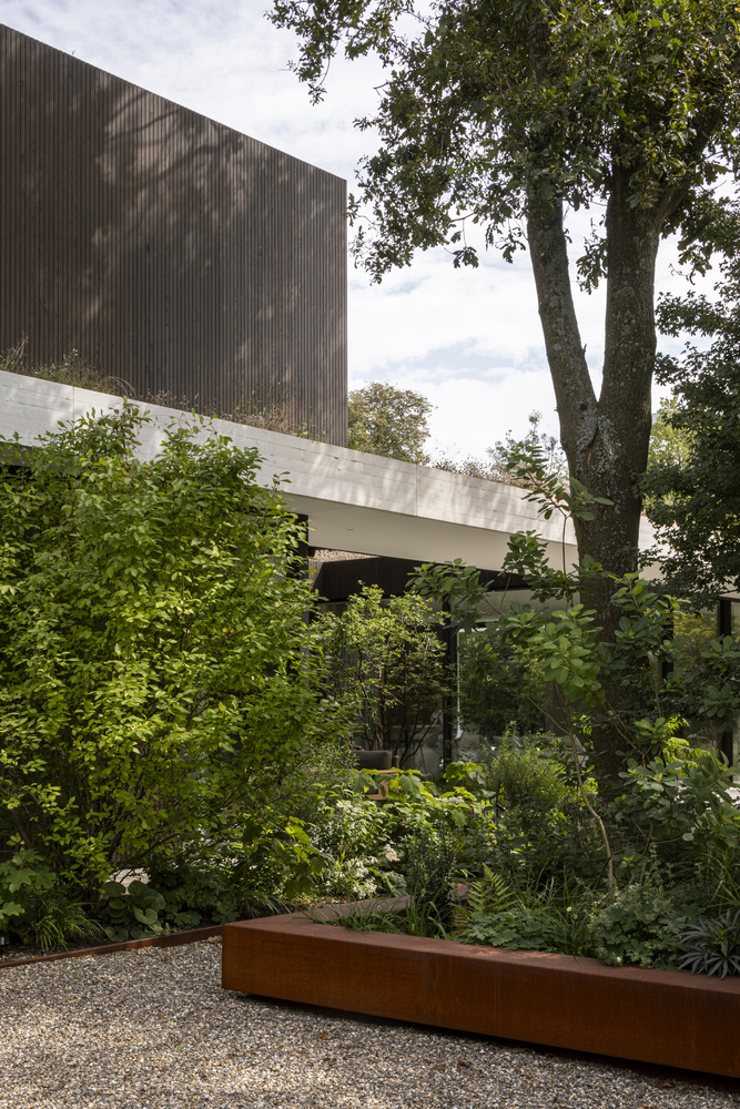 邂逅荷兰海岸隐匿别墅：一场自然、建筑与艺术的盛宴设计