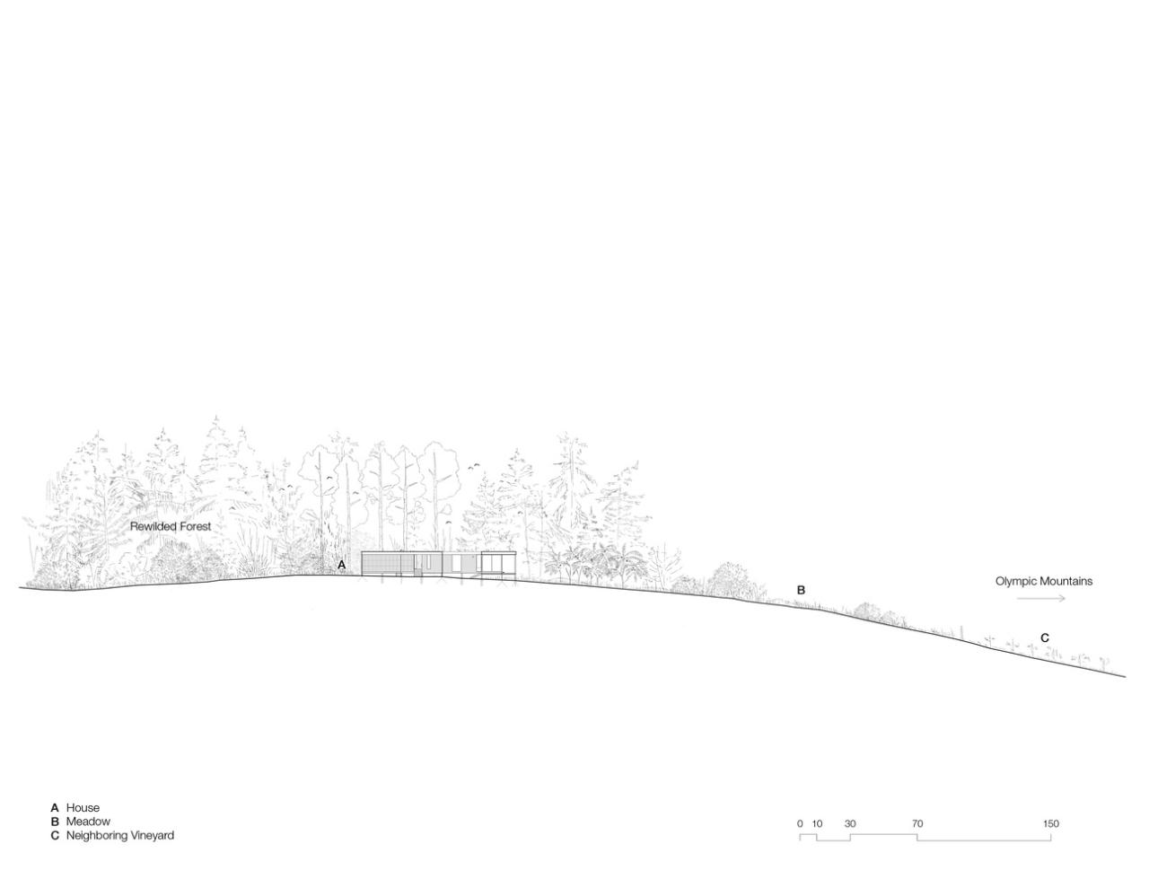 漂浮在草地上的冥想之屋禅意静修的度假屋设计