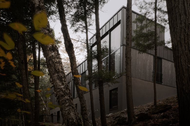 在树梢间谱建筑与自然的和谐乐章亲生物细节度假屋设计