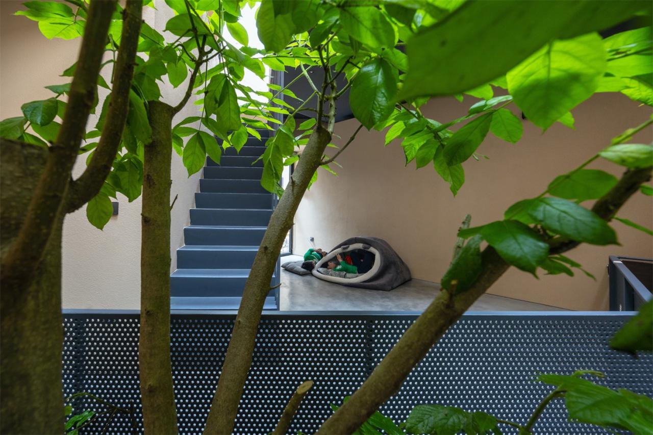 城市小巷夹缝中的山谷秘境承载亲情时光的别墅设计