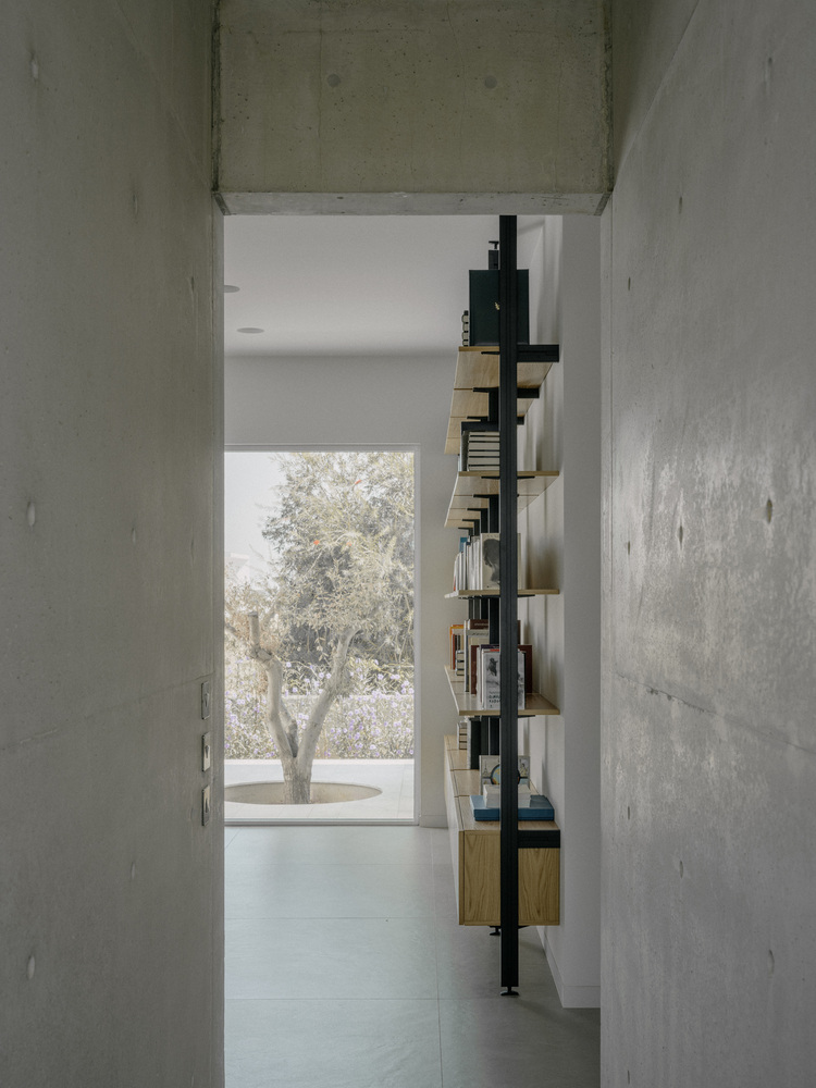 雕塑般裸露混凝土贯穿整个狭长矩形的平房设计