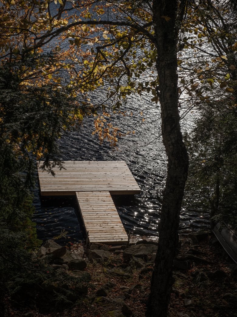 在树梢间谱建筑与自然的和谐乐章亲生物细节度假屋设计