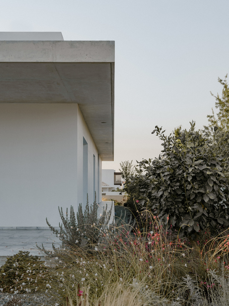 雕塑般裸露混凝土贯穿整个狭长矩形的平房设计