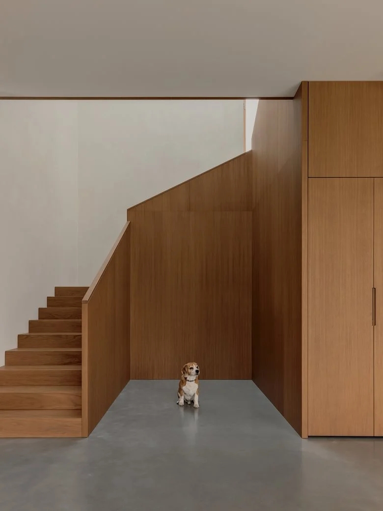 白桦林花园中的节能美学细节之处见匠心的度假屋设计