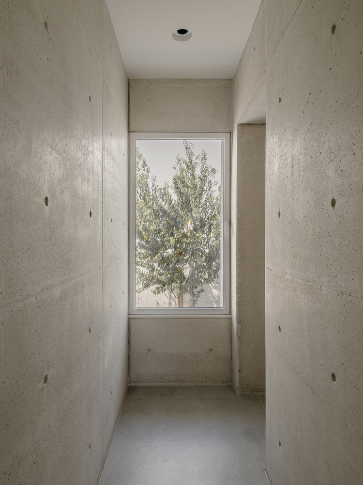 雕塑般裸露混凝土贯穿整个狭长矩形的平房设计