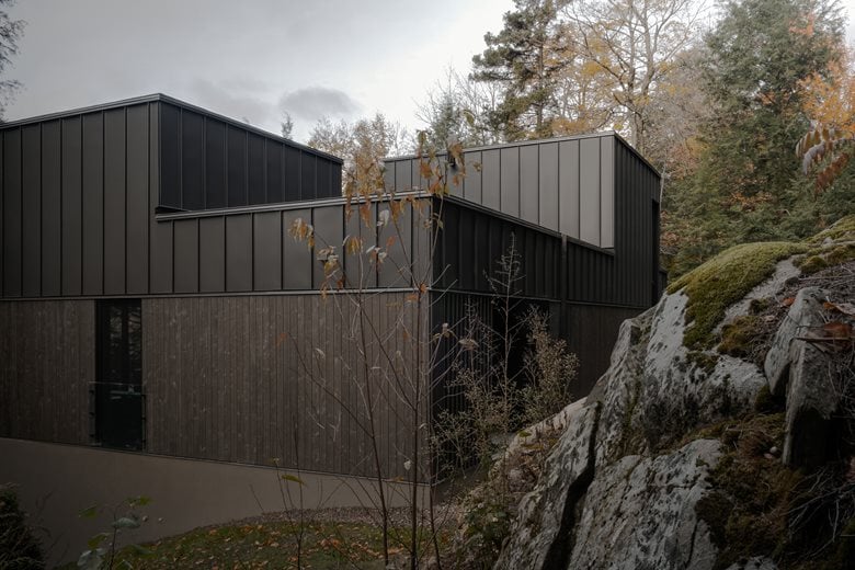 在树梢间谱建筑与自然的和谐乐章亲生物细节度假屋设计