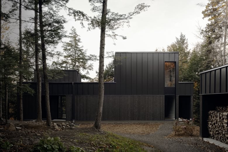 在树梢间谱建筑与自然的和谐乐章亲生物细节度假屋设计