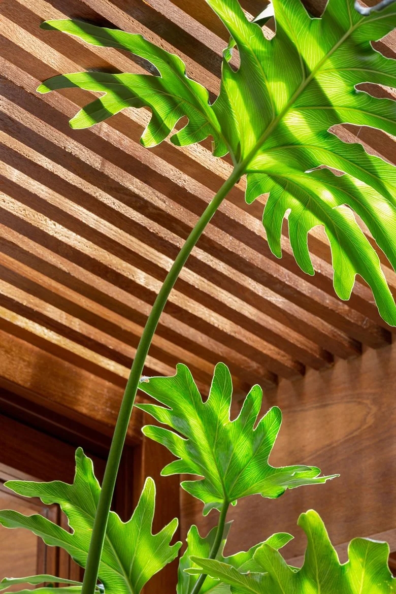 唤醒情感记忆重塑宁静生活简约质朴的别墅改造设计