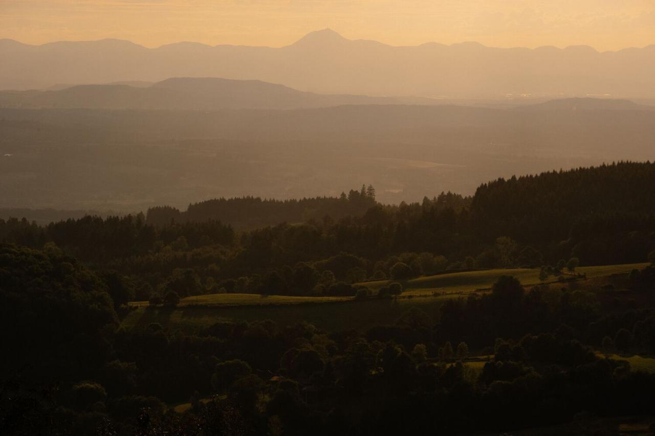 隐藏在葱郁壮丽环境中的红色宝石宁静的度假屋设计