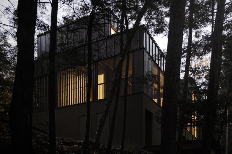 在树梢间谱建筑与自然的和谐乐章亲生物细节度假屋设计