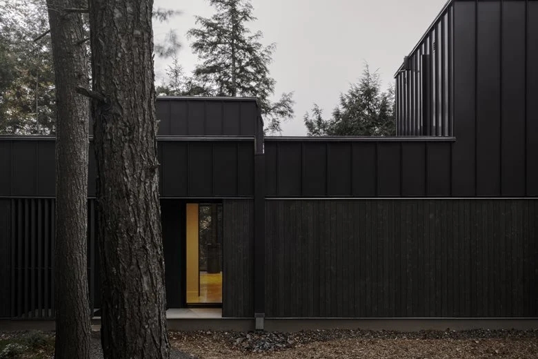 在树梢间谱建筑与自然的和谐乐章亲生物细节度假屋设计