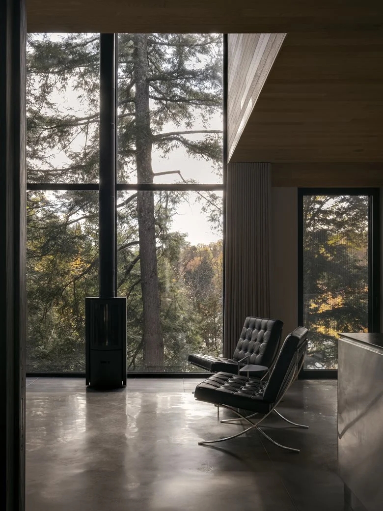 在树梢间谱建筑与自然的和谐乐章亲生物细节度假屋设计