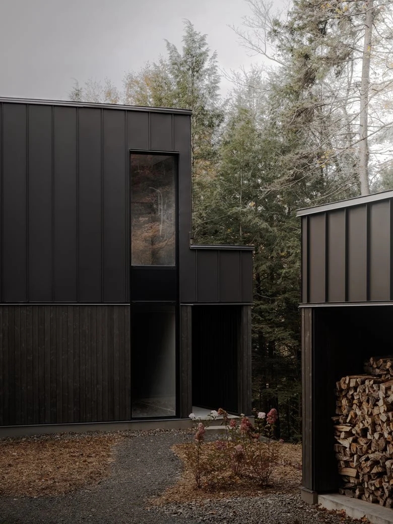 在树梢间谱建筑与自然的和谐乐章亲生物细节度假屋设计