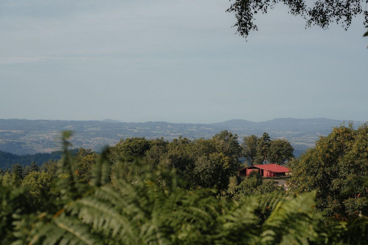隐藏在葱郁壮丽环境中的红色宝石宁静的度假屋设计